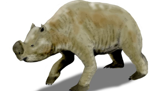 Zygomaturus trilobus