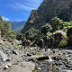 Marcha del Grupo Táctico Canarias en  en La Gomera
