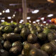 Aguacates producidos fuera de la Unión Europea