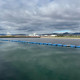 Parque de placas solares flotante para ahorrar en el consumo de los cultivos, Moncófar, Castellón