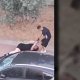 Un magrebí agrediendo a una mujer en Parla