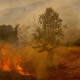 Un voluntario realiza labores de extinción en el incendio de Oímbra (Orense) este martes