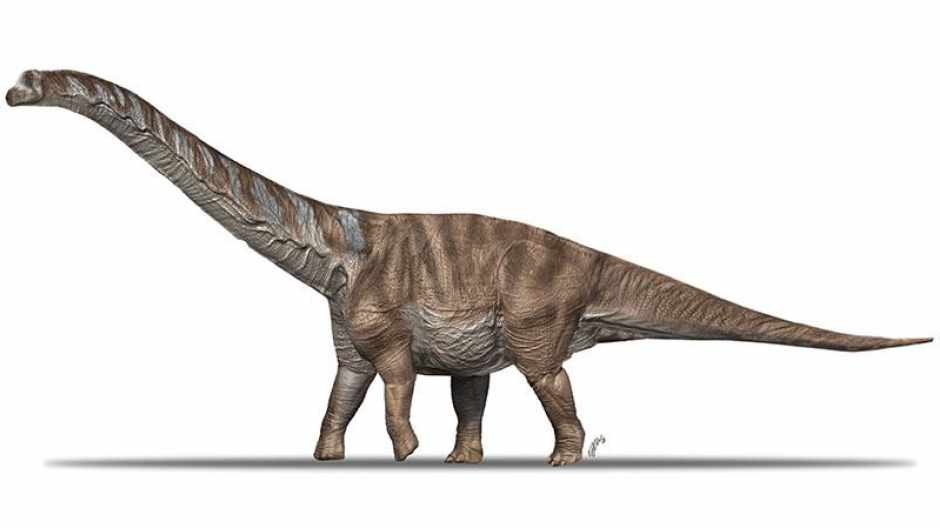 Abditosaurus kuehnei, el dinosaurio descubierto en los Pirineos
