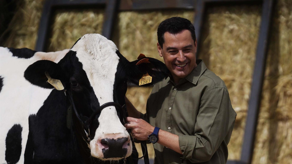 Juanma Moreno vaca