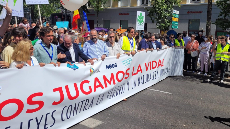Cabecera de la manifestación provida este domingo en Madrid.
ESPAÑA EUROPA MADRID SOCIEDAD