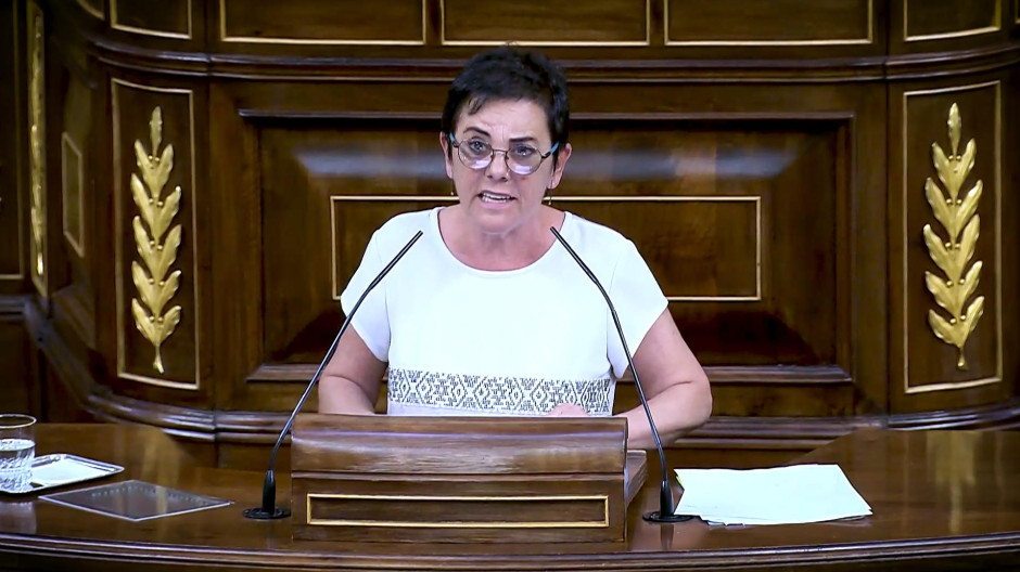 Bildu carga contra la Transición y critica que España no es una democracia plena