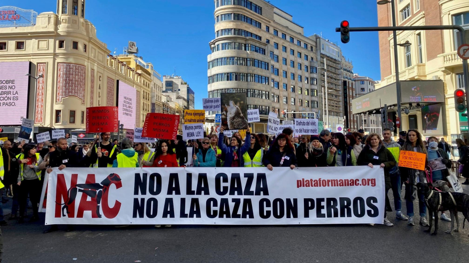 Manifestantes en la calle Gran Vía de Madrid