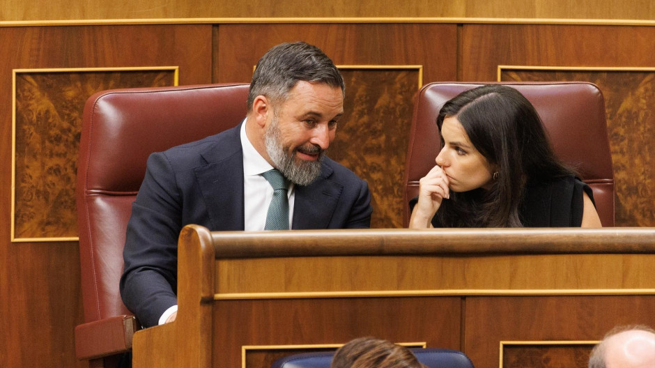 La nueva portavoz de Vox en el Congreso, Pepa Millán