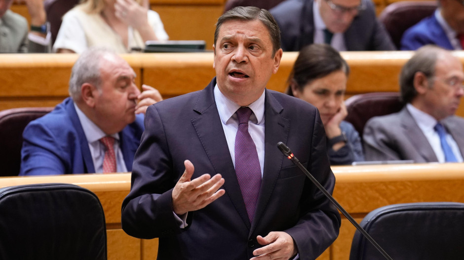 El ministro de Agricultura, Pesca y Alimentación, Luis Planas