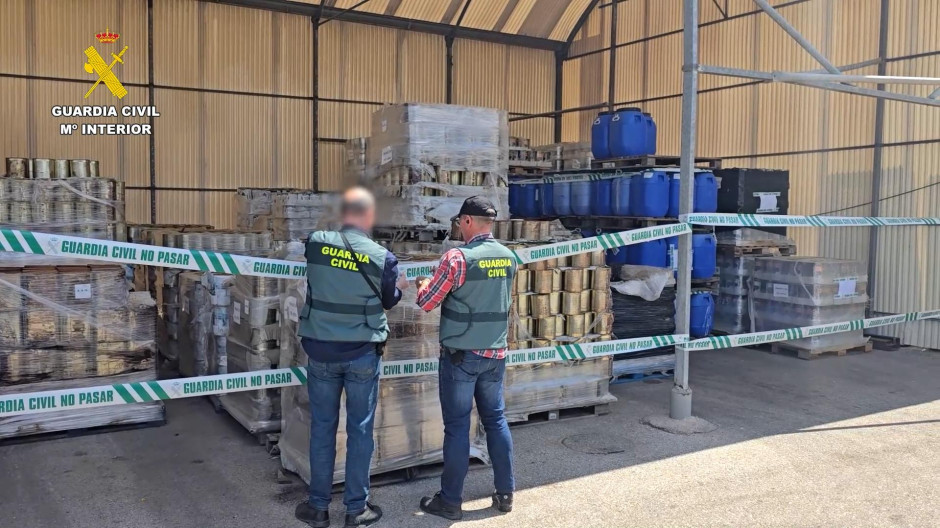 Imágenes de las aceitunas inmovilizadas