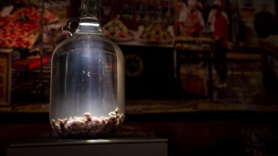 vino fermentado