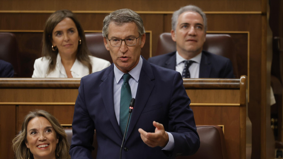 El líder del Partido Popular, Alberto Núñez Feijóo, en el Congreso