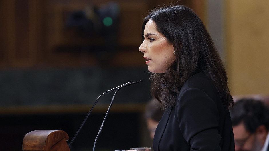 La portavoz de Vox en el Congreso, Pepa Millán