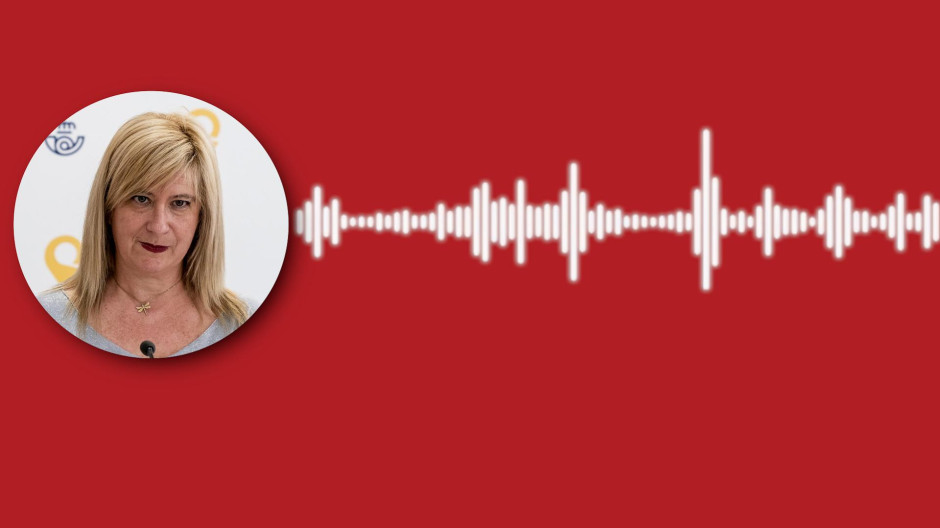 Leire Díez solicita información confidencial de la UCO