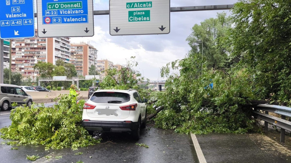 Un coche es aplastado por un árbol mientras circulaba por la M-30 de Madrid
