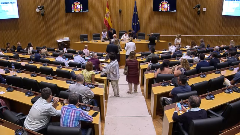 Jornadas sobre Ideología de género y denuncias falsas