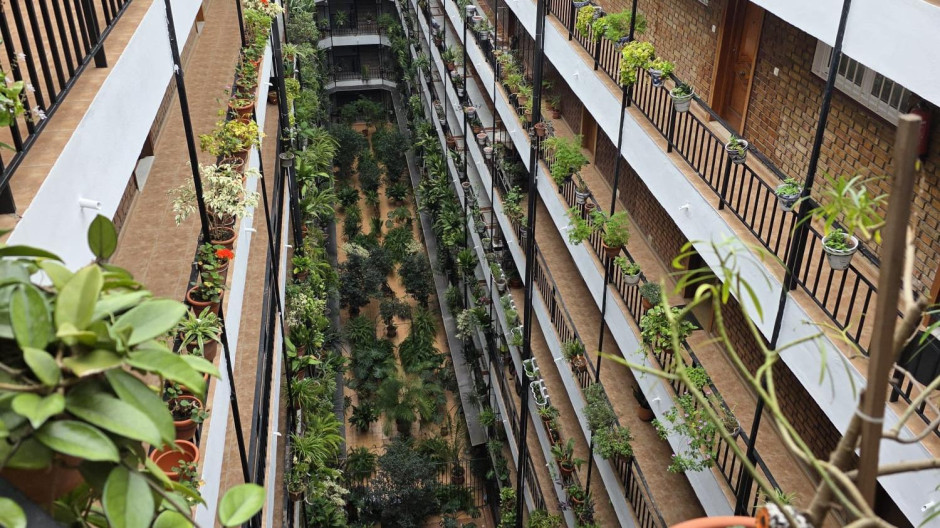 Edificio Selva de Málaga