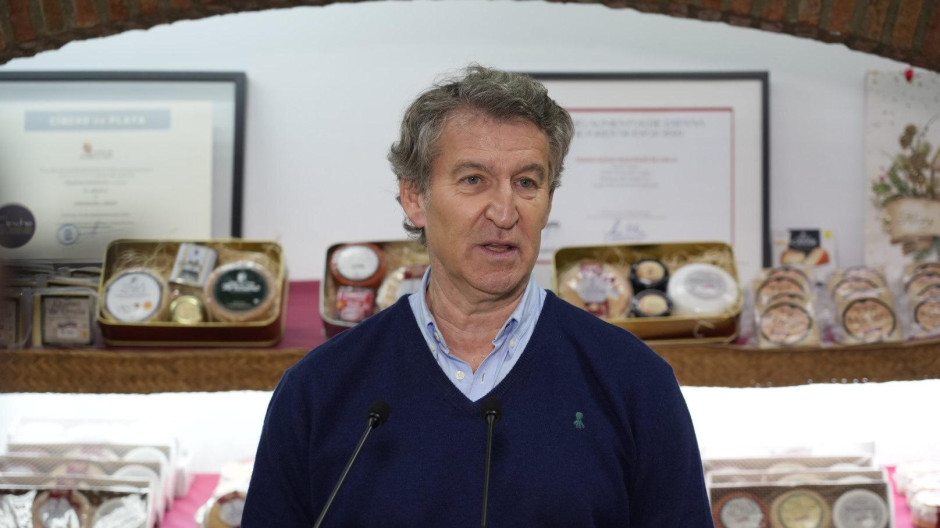 El presidente del PP, Alberto Núñez Feijóo