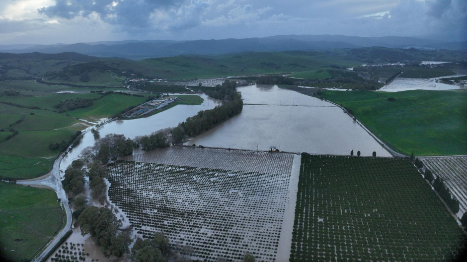 WhatsApp Image 2026-02-10 at 14.34.15