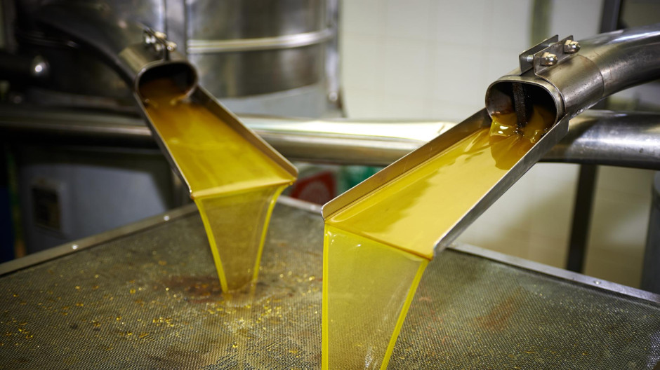 Proceso de elaboración de aceite de oliva
