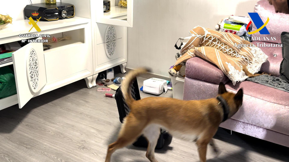 Perro policía