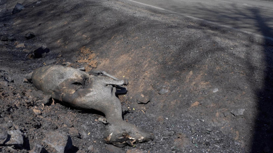 Las desoladoras imágenes que deja el incendio de Burgohondo, el más grave de la historia de España