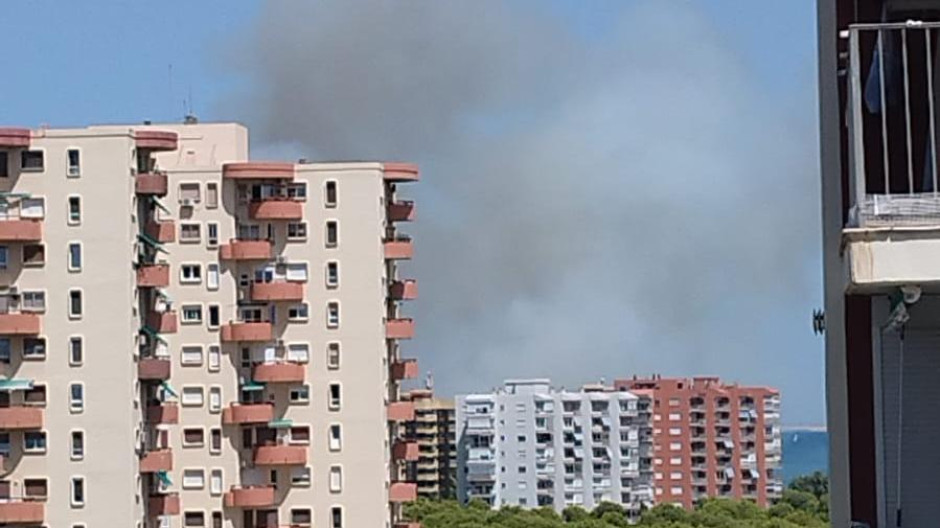 Incendio Albufera El Saler Valencia