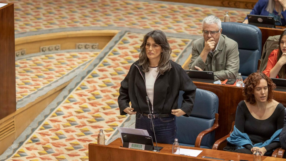 La portavoz de Más Madrid en la Asamblea, Manuela Bergerot