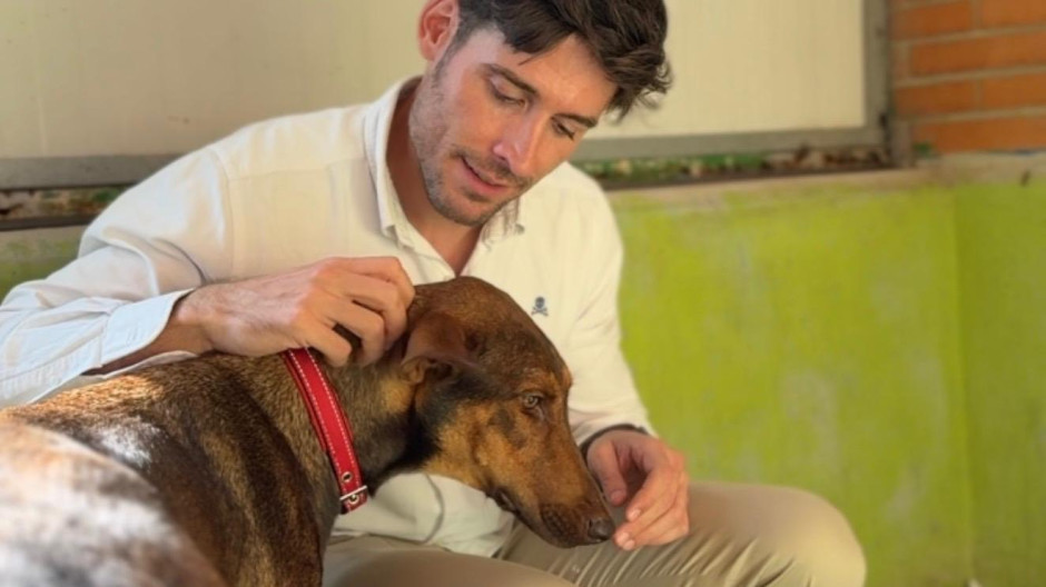Juan Carlos Caballero adopción animales Valencia