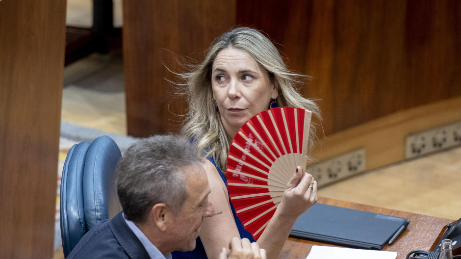 La portavoz del PSOE en la Asamblea, Mar Espinar