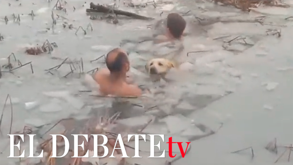 Rescate perro hielo