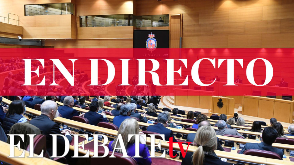 Sigue en directo la sesión de control al Gobierno en el Senado