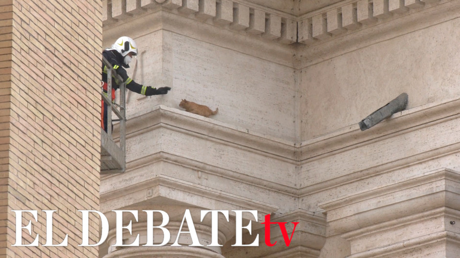 Bomberos del Vaticano rescatan a un gato en la columnata Bernini_bueno