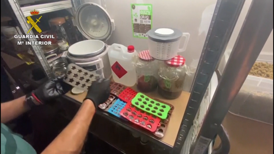 laboratorio que elaboraba gominolas de marihuana