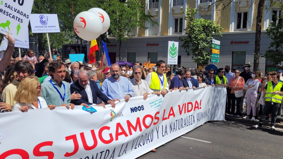 Cabecera de la manifestación provida este domingo en Madrid.
ESPAÑA EUROPA MADRID SOCIEDAD