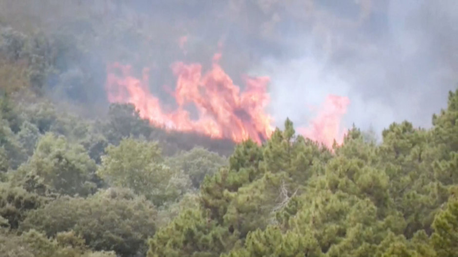 Imagen del incendio de Losaico, Zamora