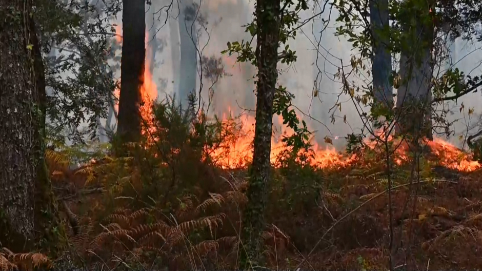 Imagen del incendio forestal al sur de Francia