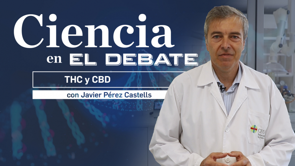 En el vídeo de esta semana, el profesor Pérez Castells trata el debate de la aprobación del cannabis medicinal