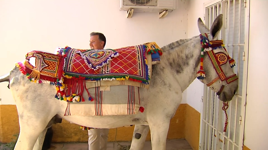 Seis burros andaluces recorren el Camino de Santiago «sin altercados»