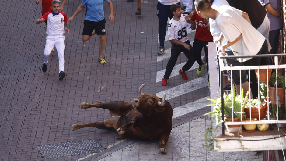 Últimos encierros en San Sebastián de los Reyes