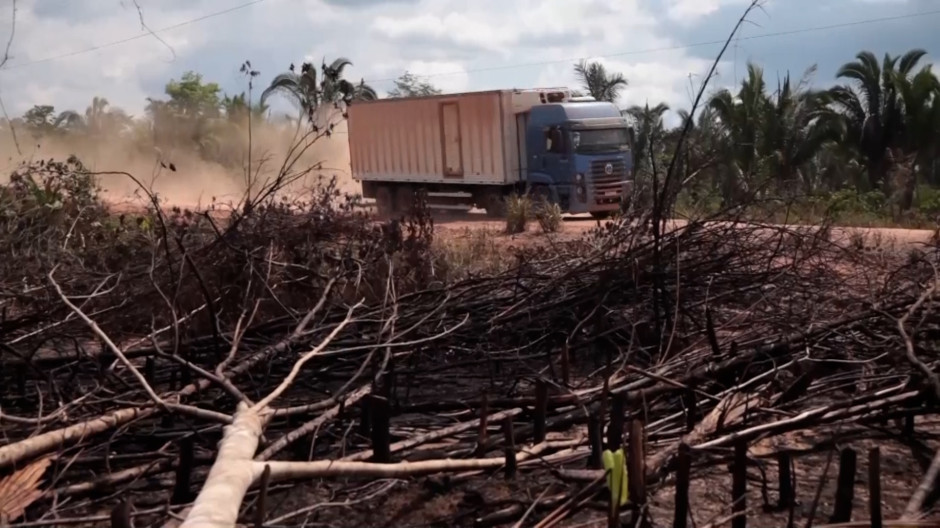 Amazonía brasileña