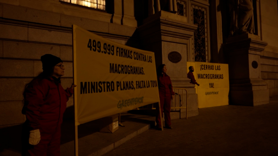 Greenpeace bloquea entradas del Ministerio de Agricultura en protesta por macrogranjas
