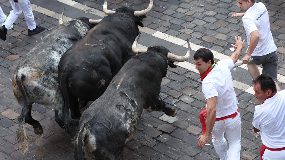 Los toros de la ganadería de Cebada Gago en el tramo final de la Cuesta de Santo Domingo