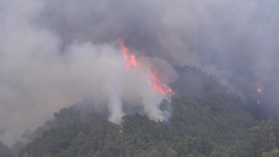 Aumentan a 2.000 las hectáreas afectadas por el incendio de Puntagorda (La Palma)