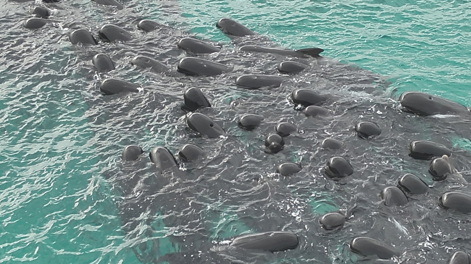 Imágenes de la Playa Cheynes (Australia)