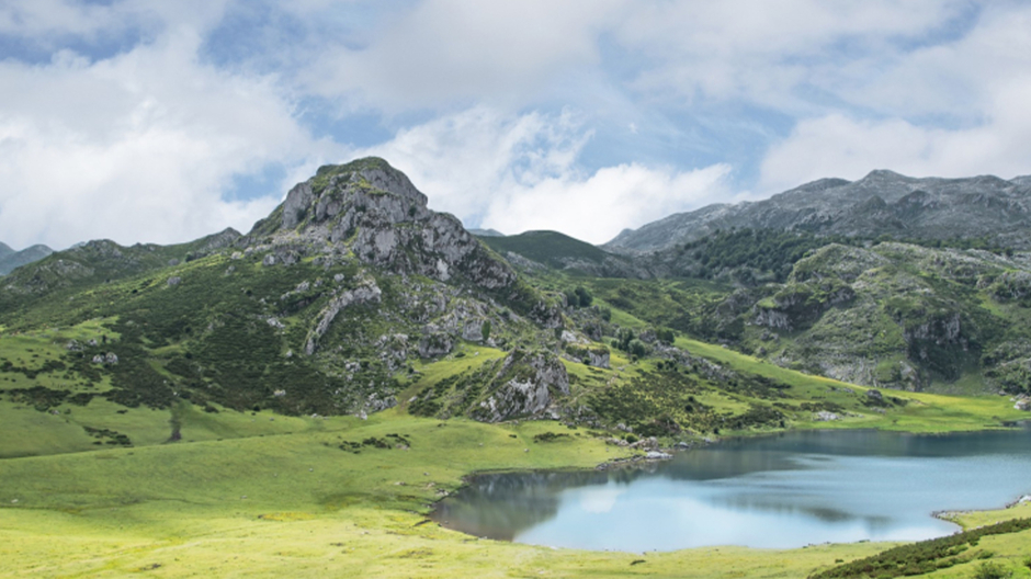 Siete Heridos Graves Al Volcar Un Autobús En La Subida A Los Lagos De Covadonga Asturias