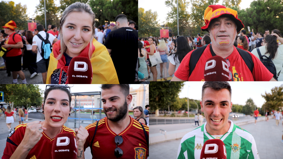 Varios seguidores de la selección celebran el título de España