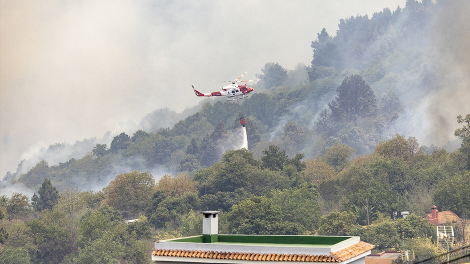 Un hidroavión trabaja en la extinción del incendio forestal en La Orotava, Tenerife