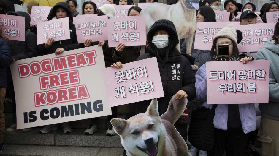 Miembros de grupos de activistas animales sostienen pancartas que rezan «adiós a la carne de perro»