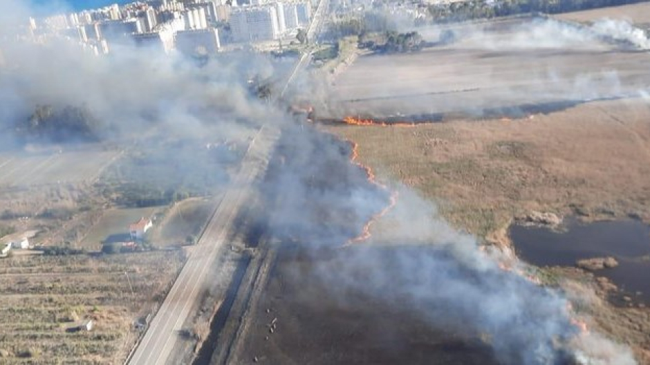 Vista del fuego en El Saler, Valencia, declarado este lunes